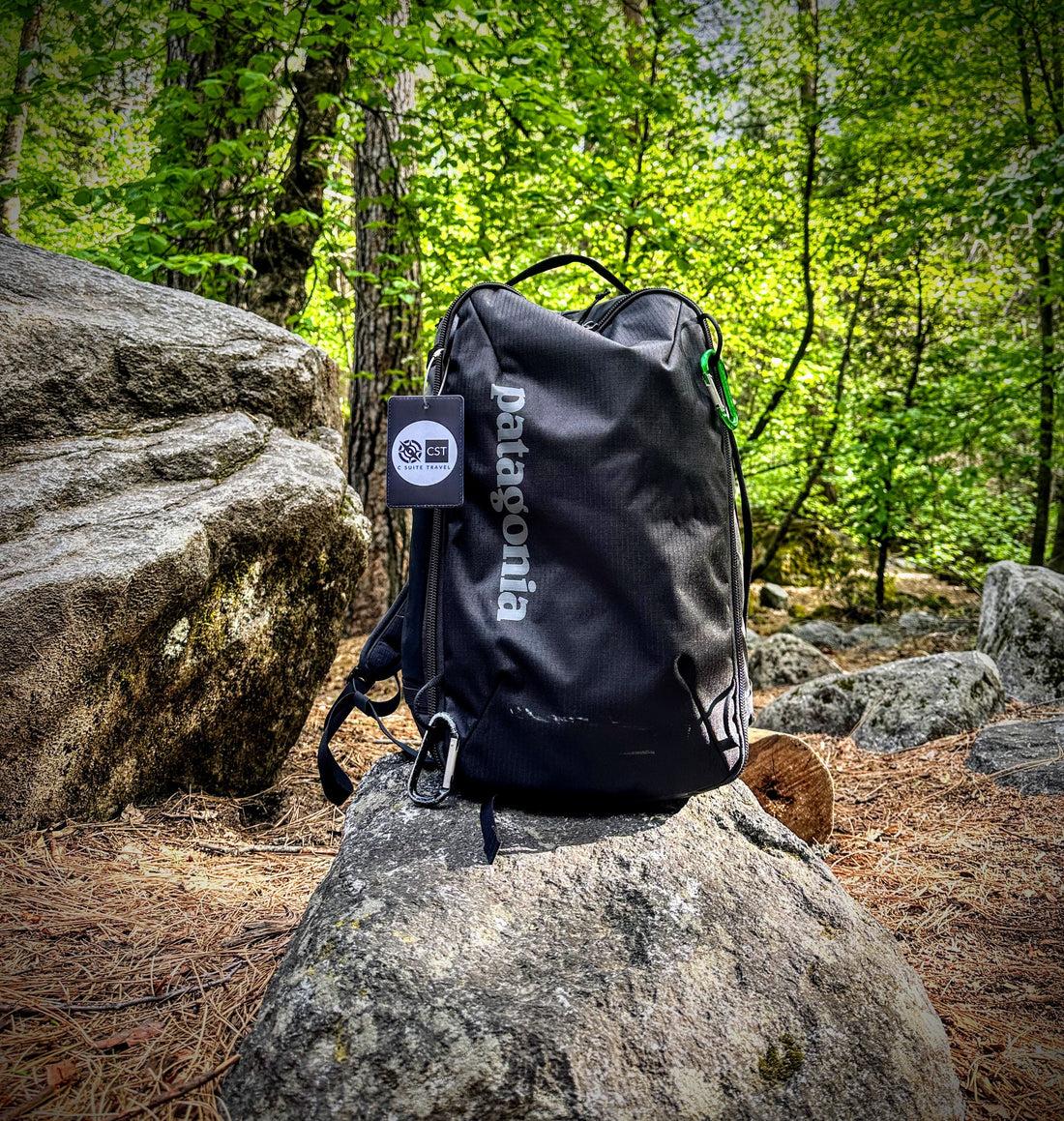 Bag of the Year: Why the Patagonia Black Hole Mini MLC belongs as every C-Suite Traveler's Carry-On ✈️🌿